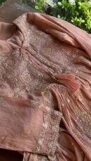Brick Rose shade Tissue Silk Chikankari Anagarkha