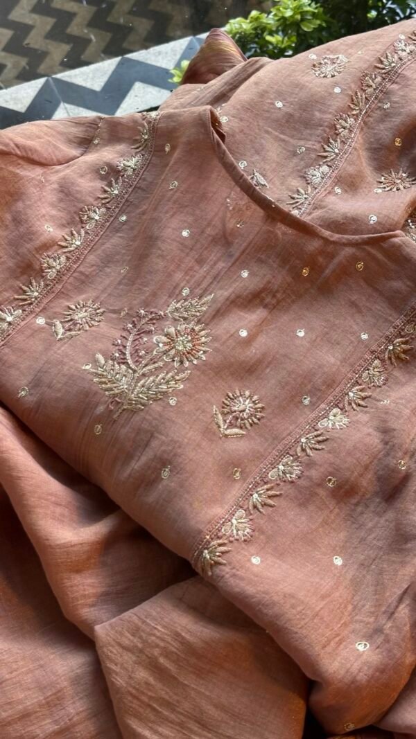 Brick Rose shade Tissue Silk Chikankari Anagarkha - Image 4