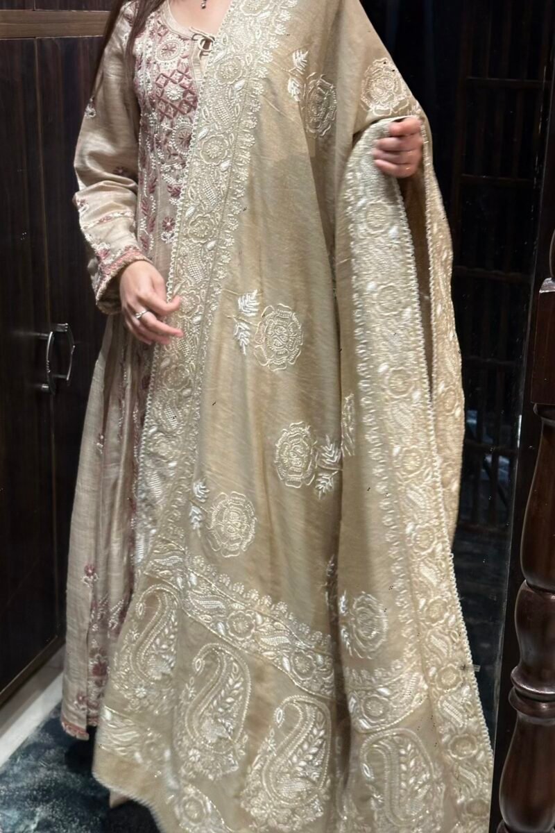Natural Shade Fine Chikankari Ari Tissue Silk Dupatta