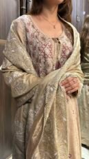 Natural Shade Fine Chikankari Ari Tissue Silk Dupatta