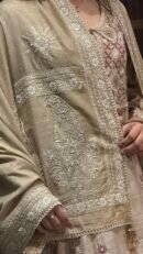 Natural Shade Fine Chikankari Ari Tissue Silk Dupatta