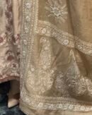 Natural Shade Fine Chikankari Ari Tissue Silk Dupatta
