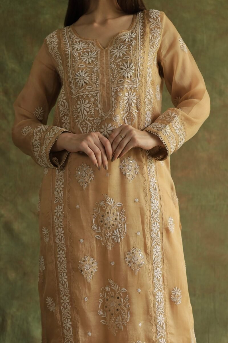 Beige Noor Organza Applique Chikankari Mukaish Kurta Dupatta Set
