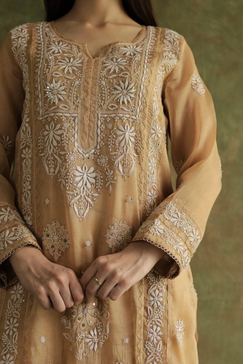 Beige Noor Organza Applique Chikankari Mukaish Kurta Dupatta Set