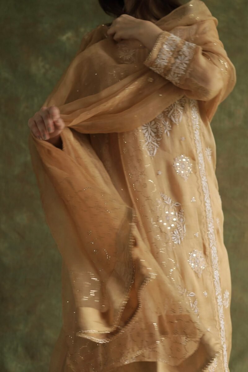 Beige Noor Organza Applique Chikankari Mukaish Kurta Dupatta Set