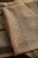 Beige Noor Organza Silk Chikankari With Mukaish Kamdani Fabric