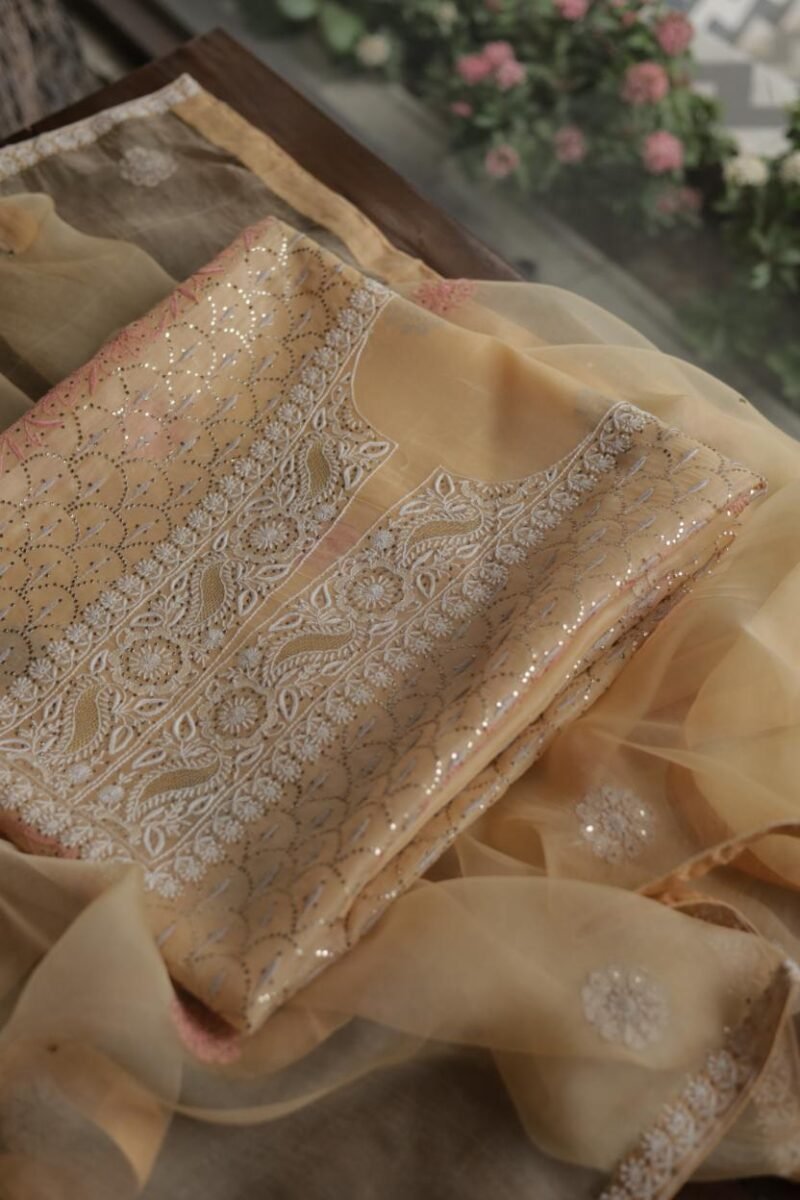 Beige Noor Organza Silk Chikankari With Mukaish Kamdani Fabric