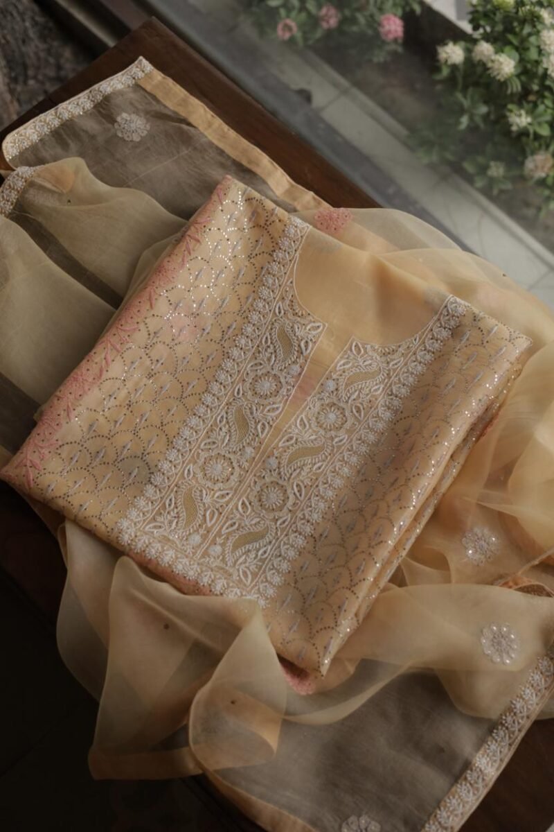 Beige Noor Organza Silk Chikankari With Mukaish Kamdani Fabric