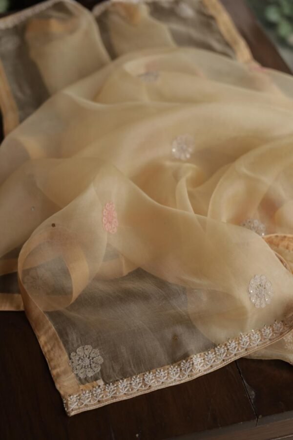 Beige Noor Organza Silk Chikankari With Mukaish Kamdani Fabric - Image 11