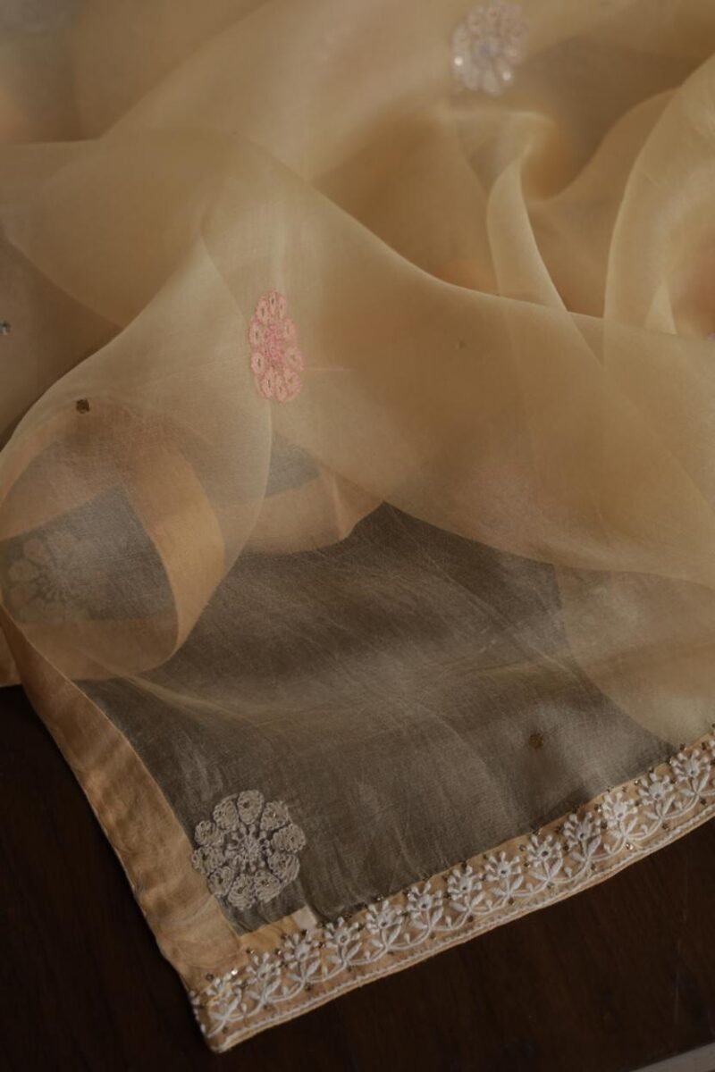 Beige Noor Organza Silk Chikankari With Mukaish Kamdani Fabric