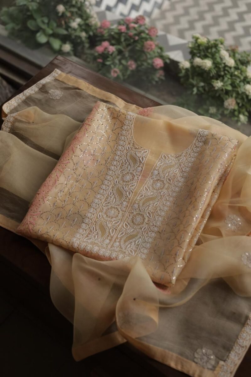 Beige Noor Organza Silk Chikankari With Mukaish Kamdani Fabric