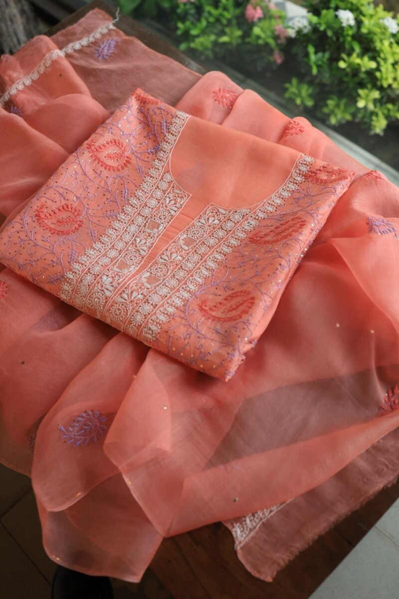 Carrot Pink Noor Organza Silk Chikankari With Mukaish Kamdani Fabric