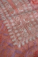 Carrot Pink Noor Organza Silk Chikankari With Mukaish Kamdani Fabric