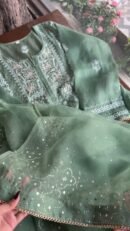 Hazel Green Noor Organza Applique Chikankari Mukaish Kurta Dupatta Set