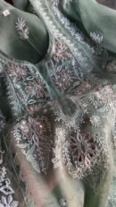 Hazel Green Noor Organza Applique Chikankari Mukaish Kurta Dupatta Set