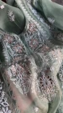 Hazel Green Noor Organza Applique Chikankari Mukaish Kurta Dupatta Set
