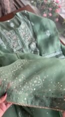 Hazel Green Noor Organza Applique Chikankari Mukaish Kurta Dupatta Set