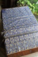 Mist Blue Roheen Tissue Silk Chikankari Fabrics