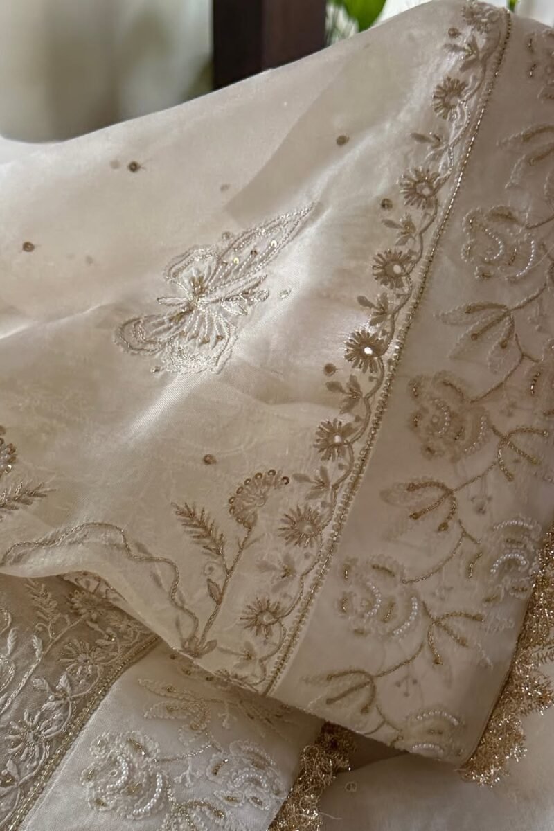 Noor Organza White Butterfly Chikankari Saree