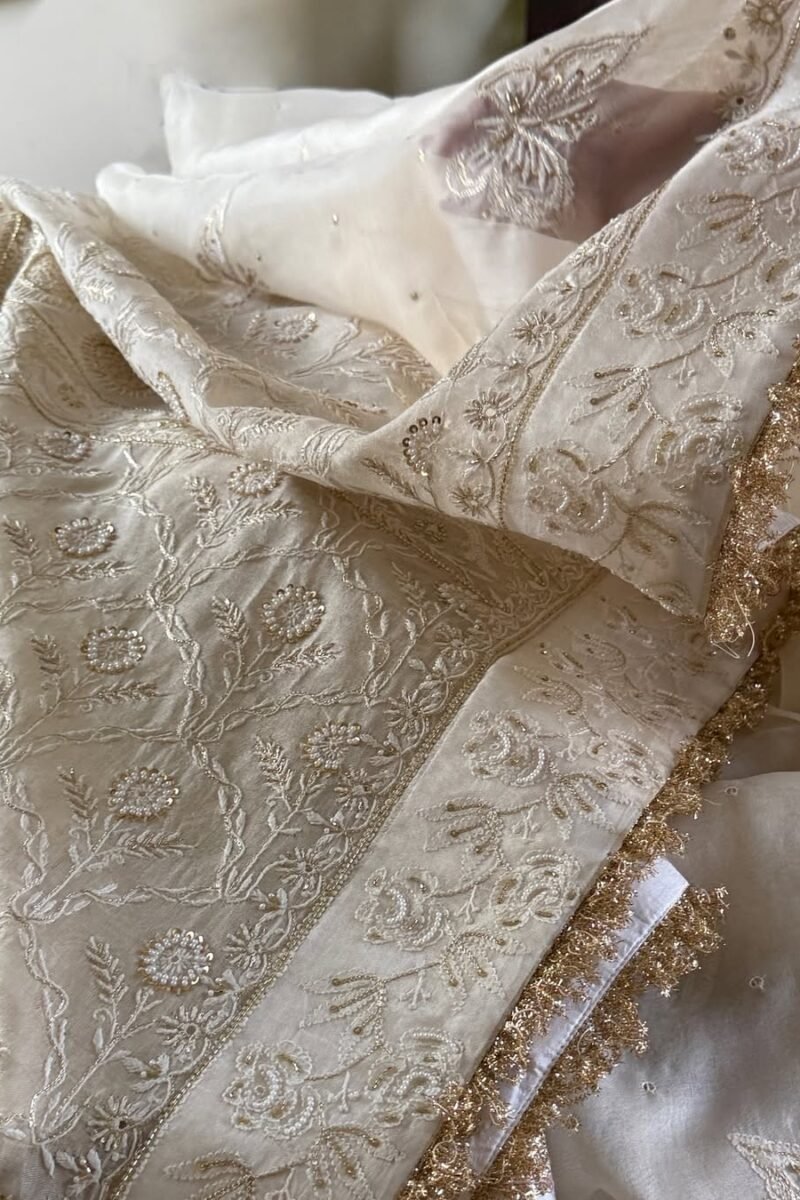 Noor Organza White Butterfly Chikankari Saree