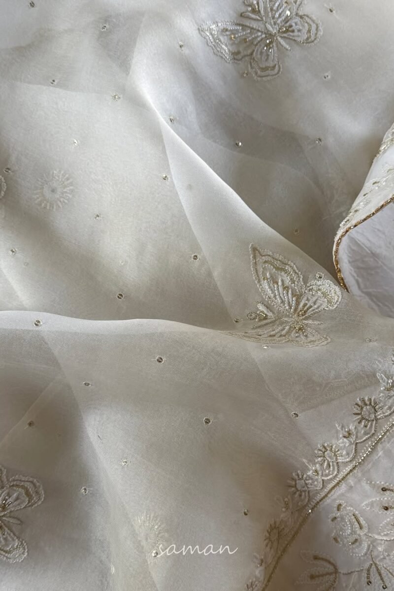 Noor Organza White Butterfly Chikankari Saree