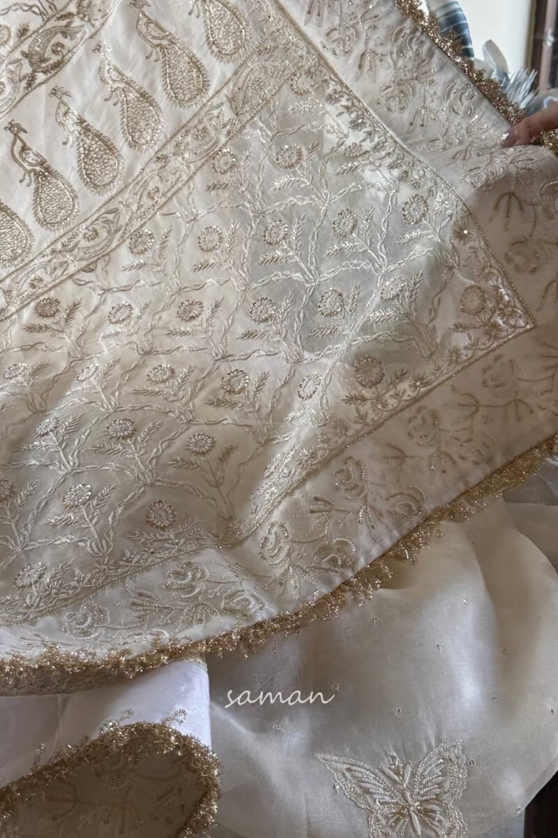 Noor Organza White Butterfly Chikankari Saree