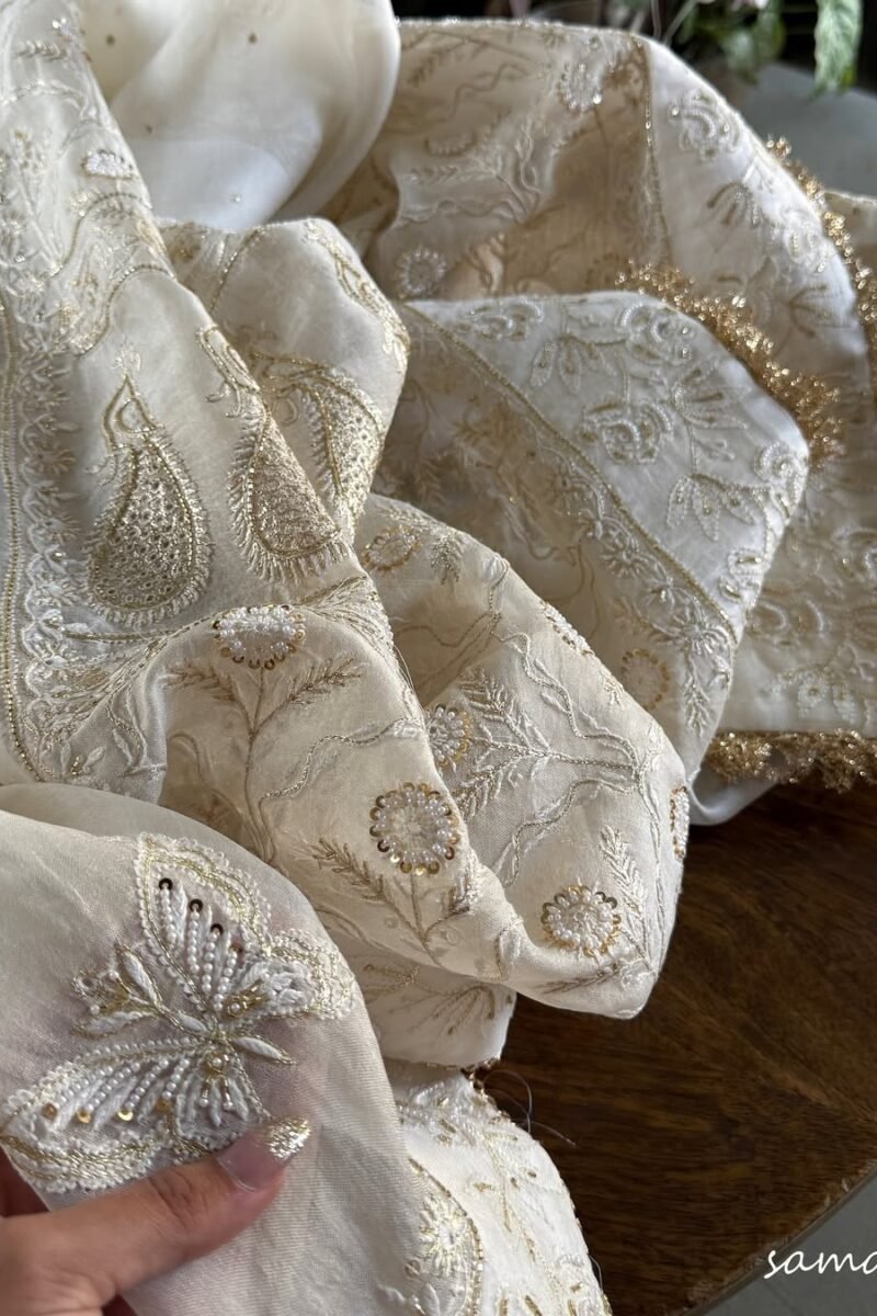 Noor Organza White Butterfly Chikankari Saree