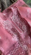 Pink Noor Organza Rose Motifs Applique Chikankari Mukaish Kurta Dupatta Set
