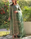 Raw Mango Green Noor Organza Chikankari Anarkali