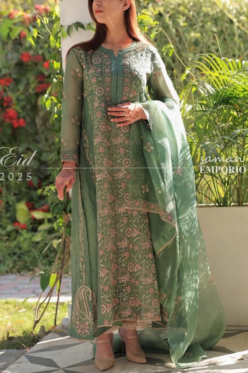 Raw Mango Green Noor Organza Chikankari Anarkali