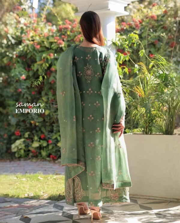 Raw Mango Green Noor Organza Chikankari Anarkali - Image 7