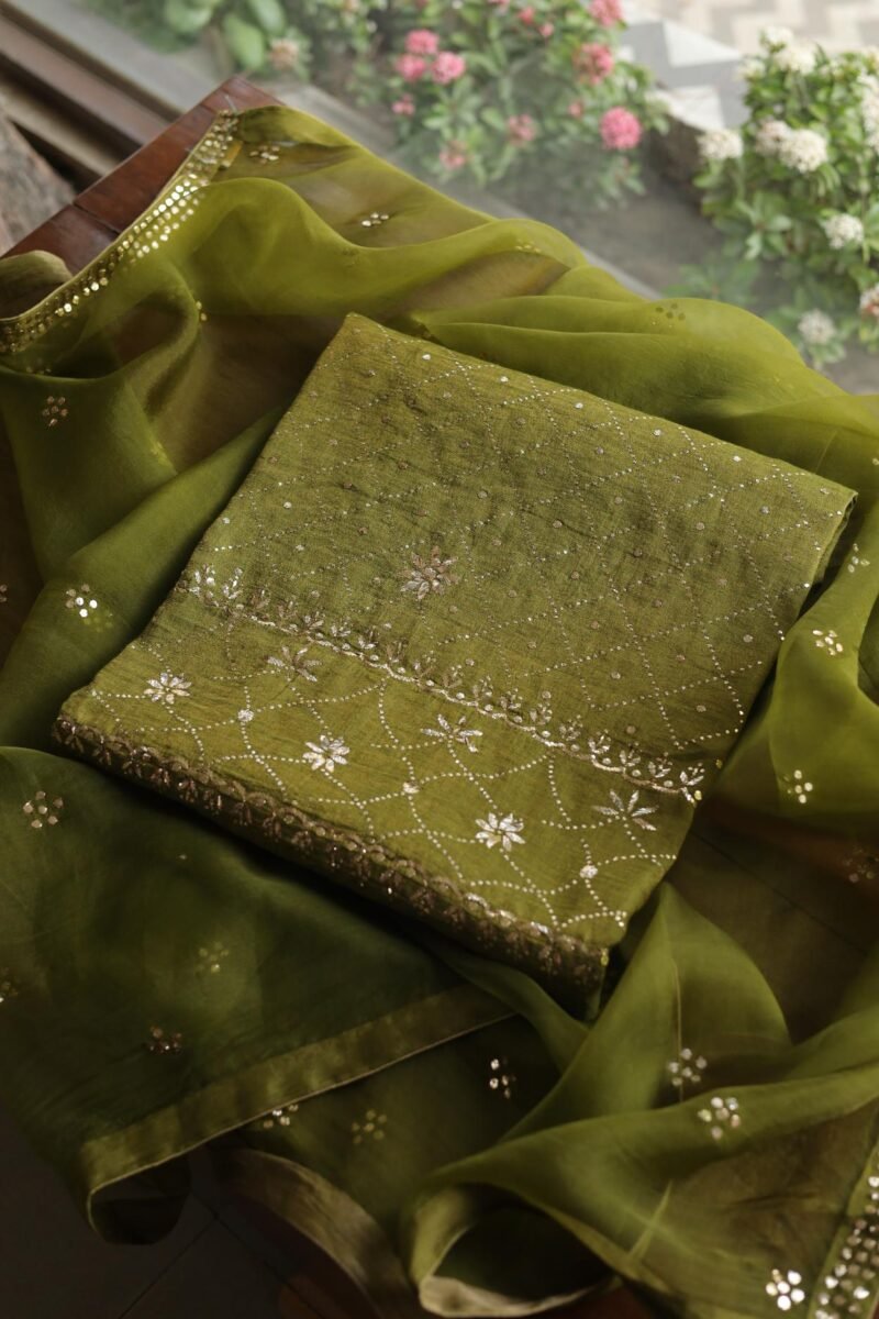 Roheen Tissue Silk Chikankari Fabrics