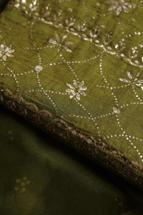 Roheen Tissue Silk Chikankari Fabrics - Image 13