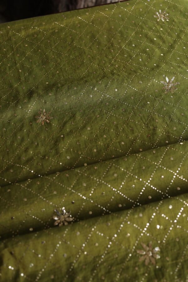 Roheen Tissue Silk Chikankari Fabrics - Image 5