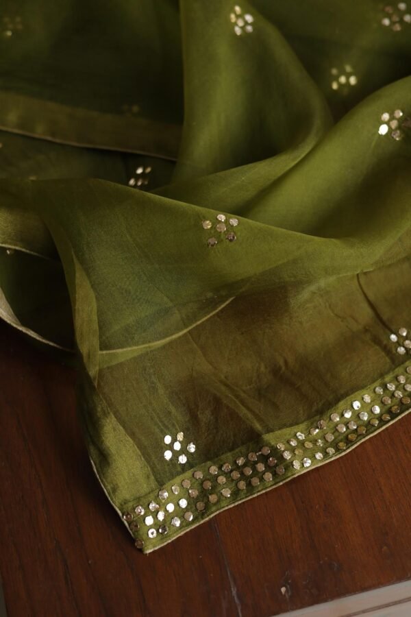 Roheen Tissue Silk Chikankari Fabrics - Image 8