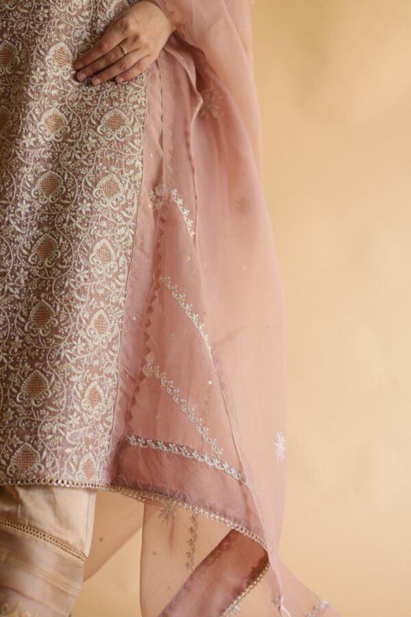 Rose Gold Noor Organza Silk Chikankari Straight Cut Kurta Dupatta Set - Image 6