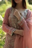 Coral Peach Stripe Organza Chikankari Sharara Set