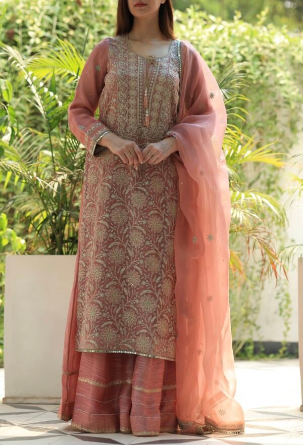 Coral Peach Stripe Organza Chikankari Sharara Set - Image 12
