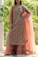 Coral Peach Stripe Organza Chikankari Sharara Set