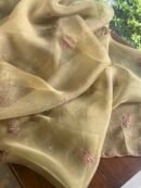 Green Noor Organza Silk Chikankari Unstitched Kurta Dupatta Set