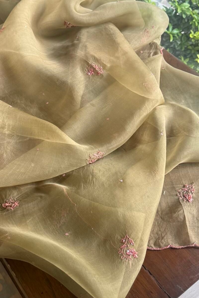 Green Noor Organza Silk Chikankari Unstitched Kurta Dupatta Set